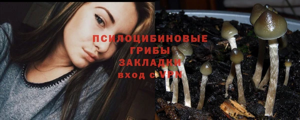 прущая мука Арсеньев