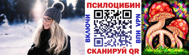 Купить  Тайшет  Псилоцибиновые грибы Magic Shrooms 