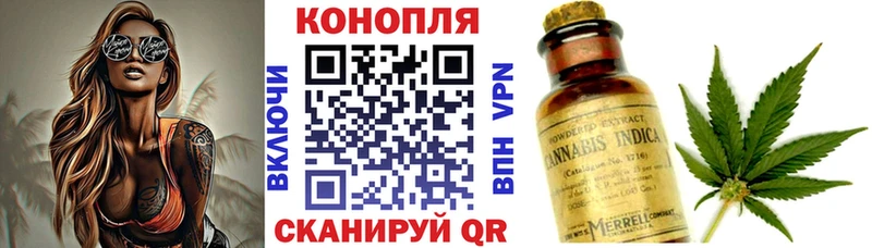 Бошки марихуана MAZAR  Купить где  Тайшет 